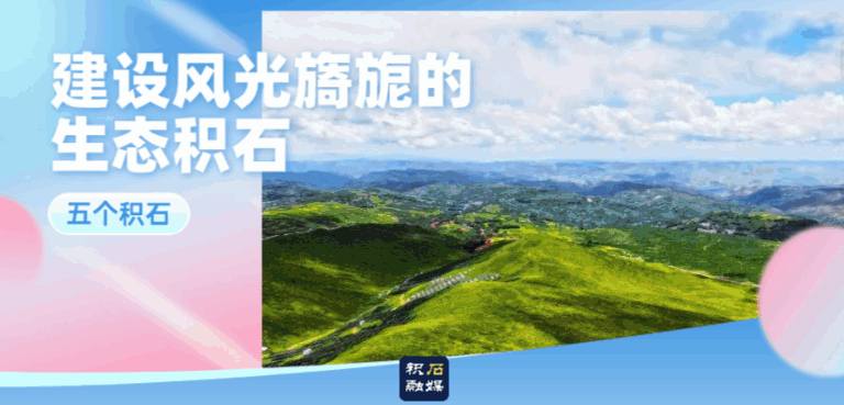 交管提醒：电子驾照换照片半年仅限一次，这几类照片直接驳回，你拍对了吗？-有驾