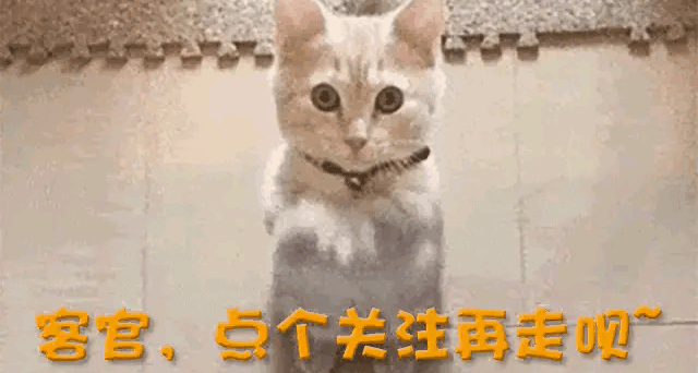 奇瑞终于摊牌了！8月10日重磅新车上线，这3大核心卖点让对手慌了-有驾