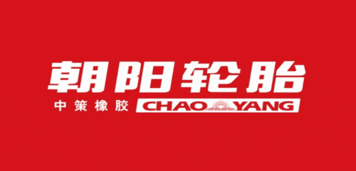 轮胎价格差十倍到底差在哪？修车师傅揭秘：这几个核心性能关乎保命，别再只盯着价格看了！-有驾