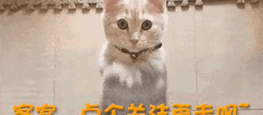 丰田销量狂甩百万辆背后：比亚迪疯狂追赶，谁才是未来汽车市场真正的霸主？-有驾