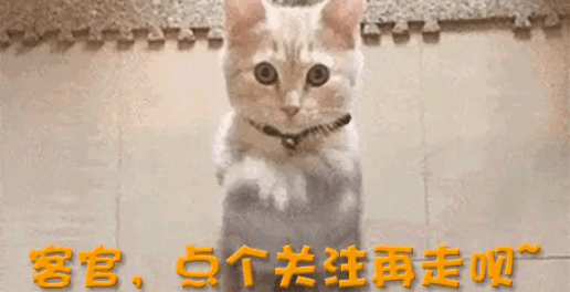 丰田全球夺冠背后的真相：被全网唱衰却半年狂赚千亿，这才是巨头的底气-有驾