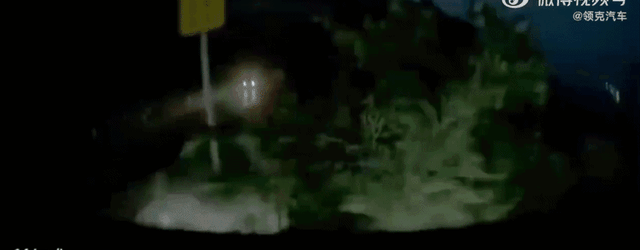 领克10 EM-P惊险翻车却奇迹生还，智能与安全的平衡究竟如何影响未来汽车行业？-有驾