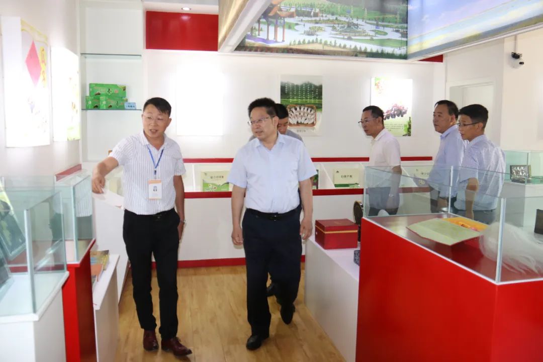 省商务厅纪检组长王建元一行在武威市调研指导电子商务工作