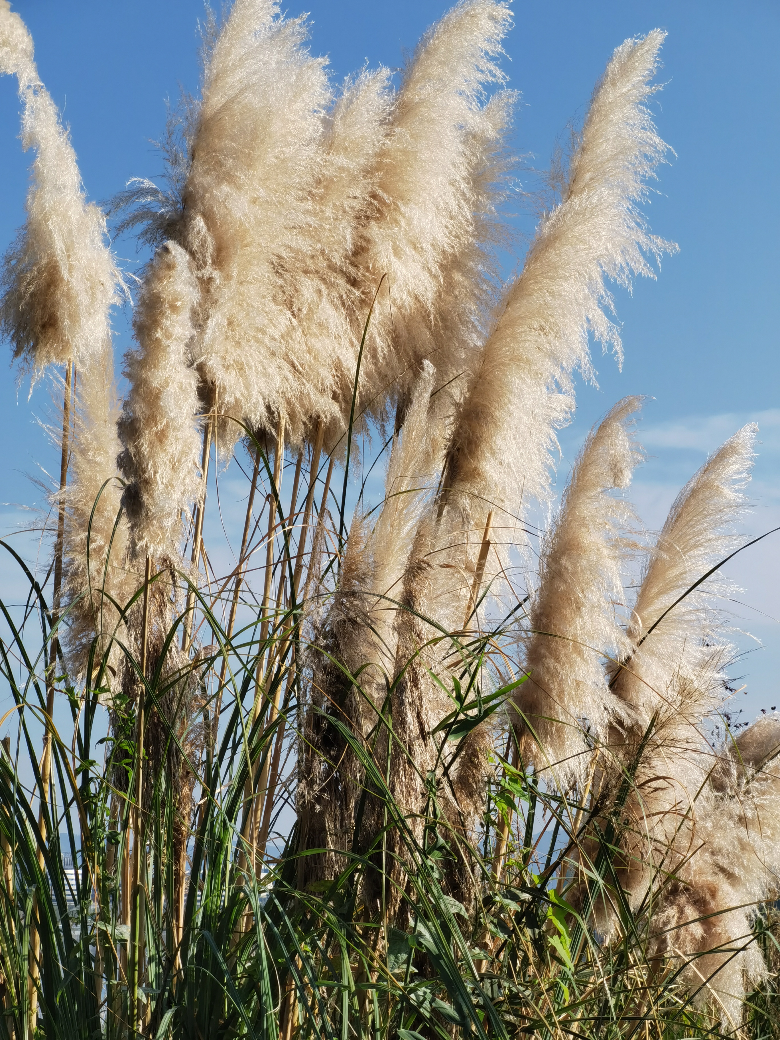 抄书13天 每个出现在你生命中的人 都有意义