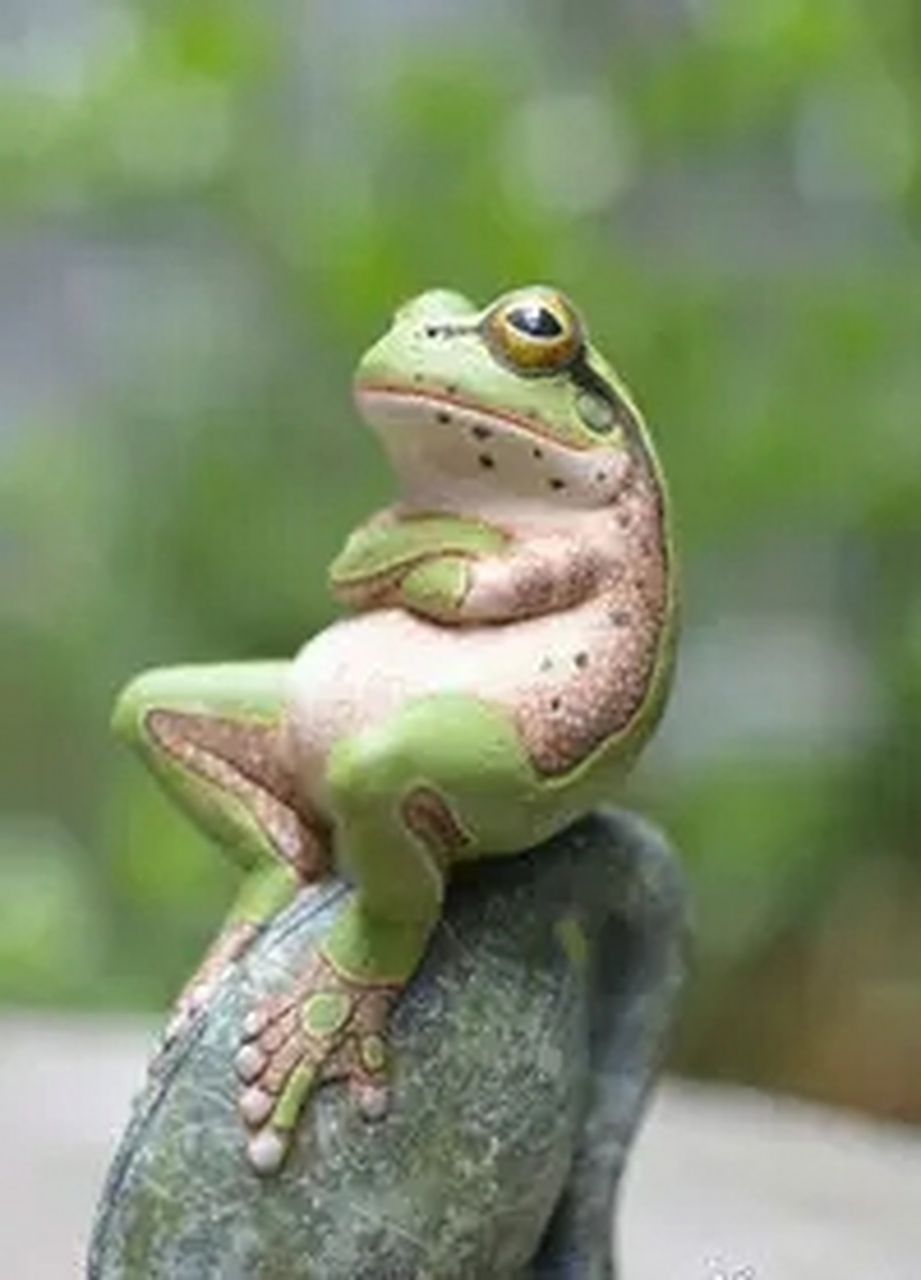 好神奇的青蛙王子!就是肚子有点大了[心][嘻嘻]#动物趣图