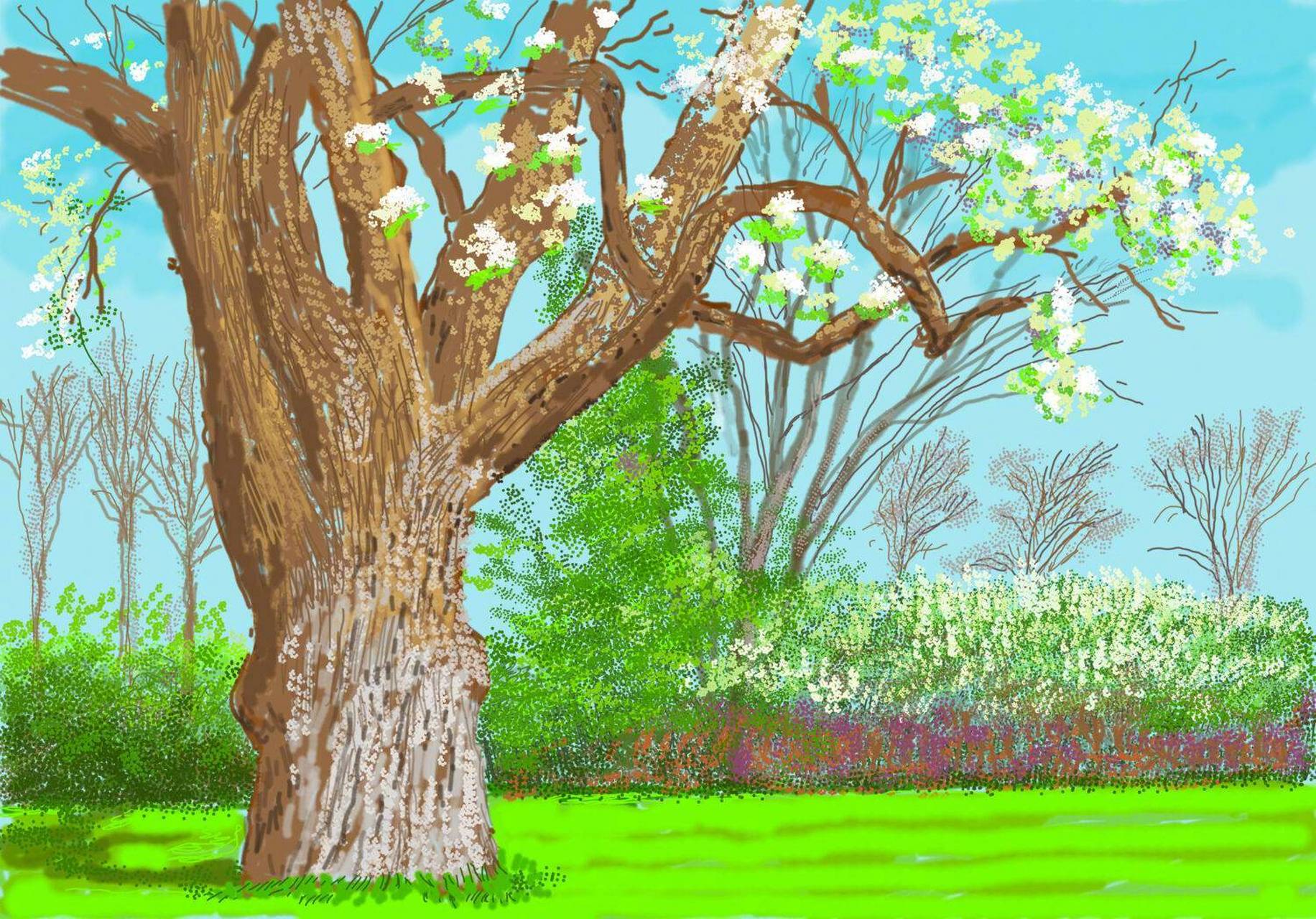 大卫·霍克尼 画里的春天. 676767 #插画