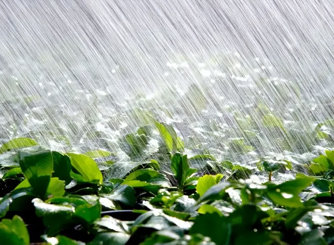 7月7日小暑节气