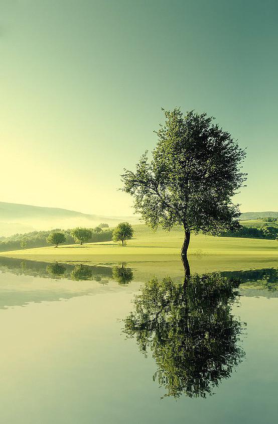 人到中年,做最好的自己