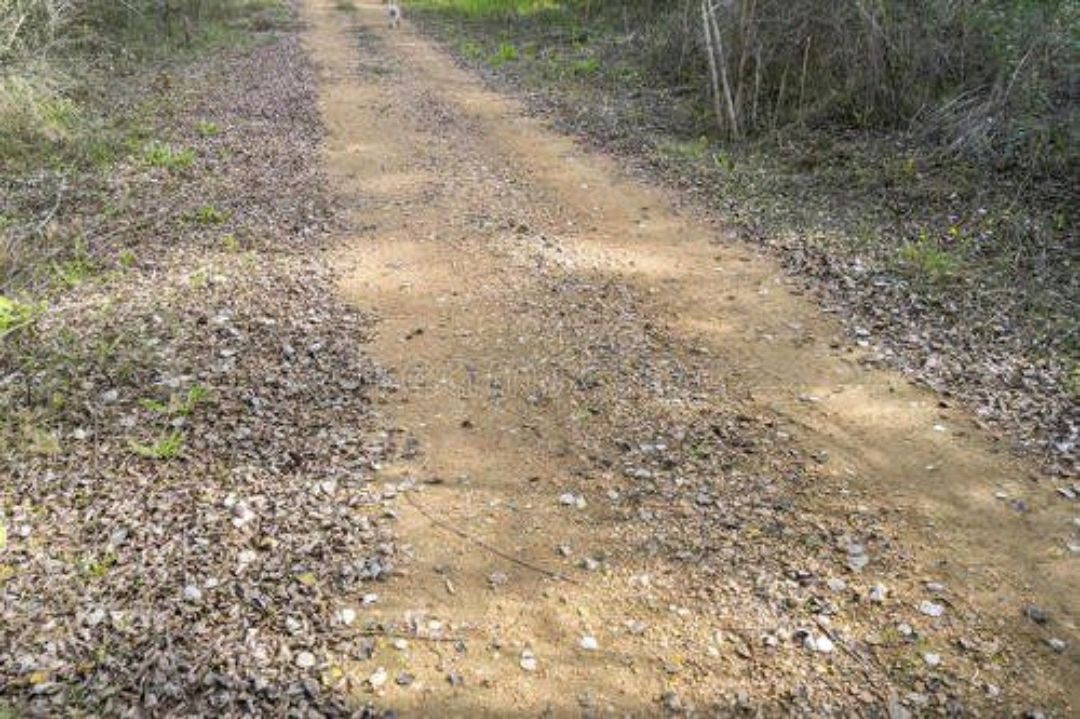 记忆中的小土路