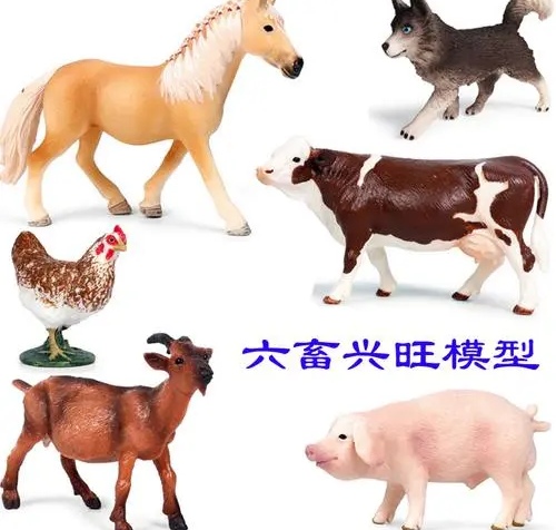 家有六畜家中旺的生肖是什么呢?