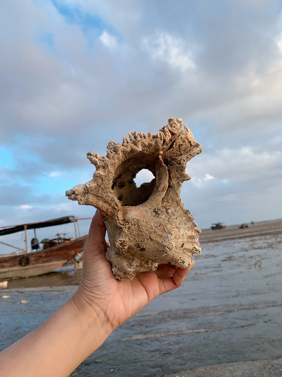 捡十个沙币海胆 回来坏9个 怎么那么容易碎啊