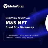MetaVoizz-NFT