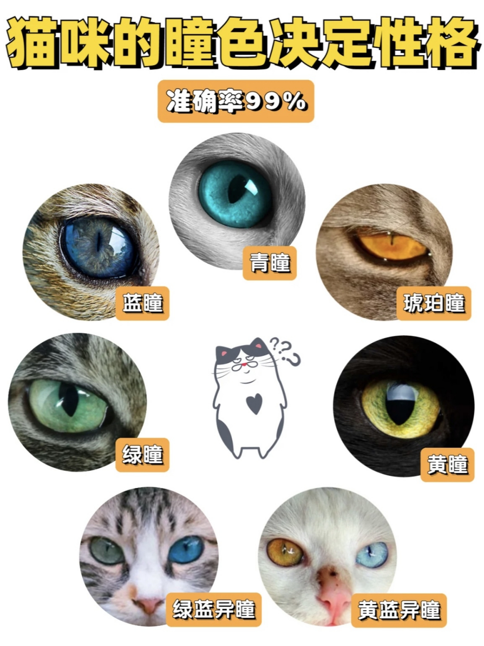 科普篇|猫猫的瞳孔颜色决定性格哦[羊驼]
