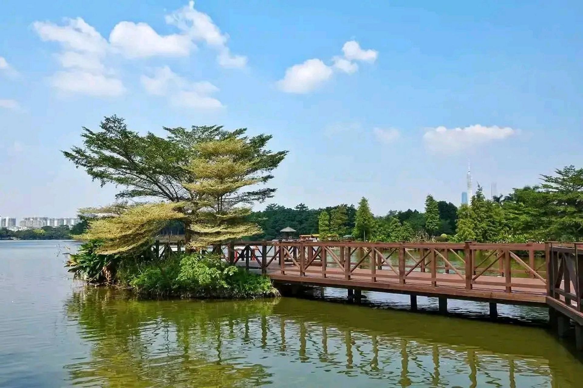 你知道广州海珠湖公园吗?