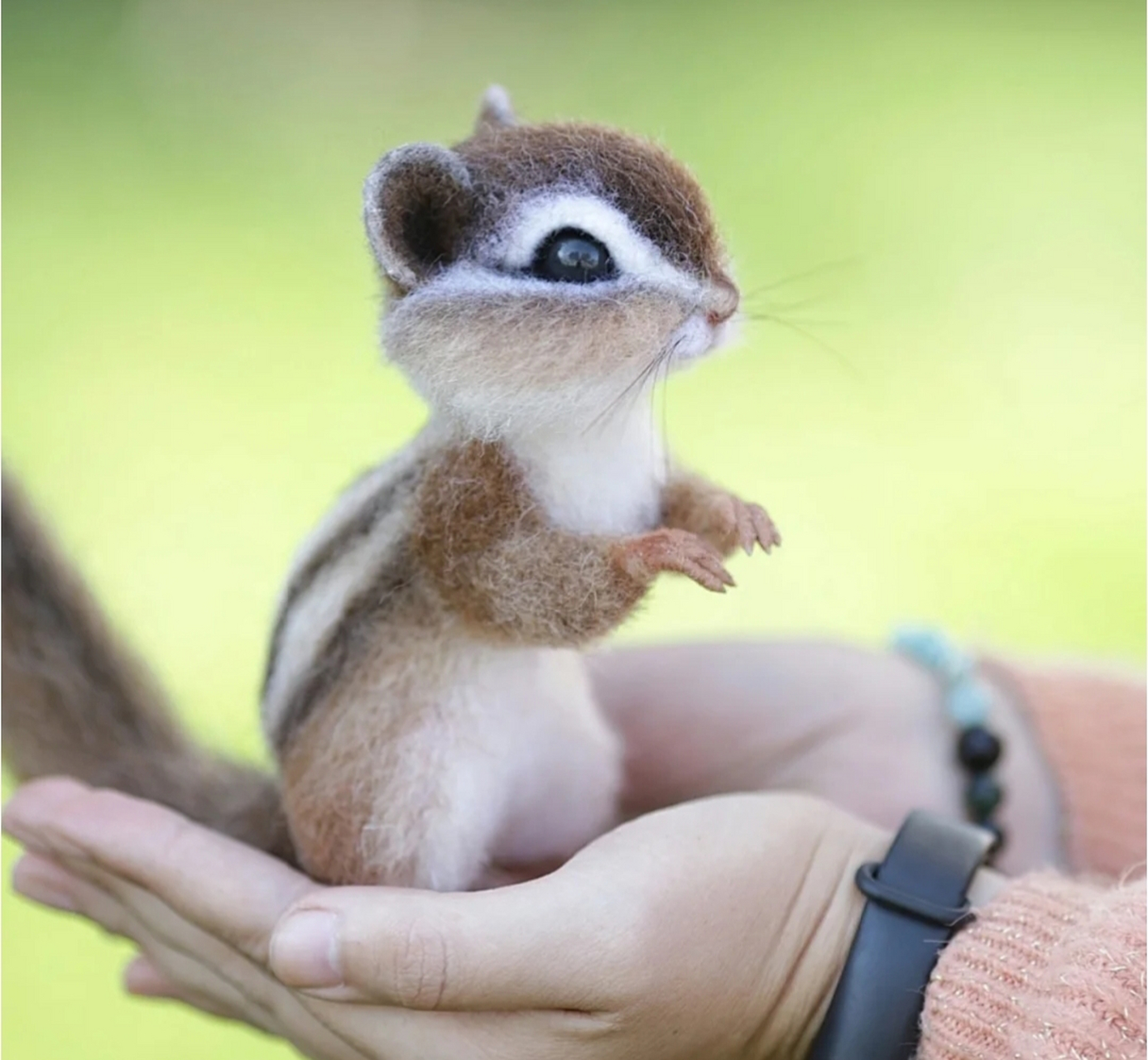 好可爱的小松鼠!
