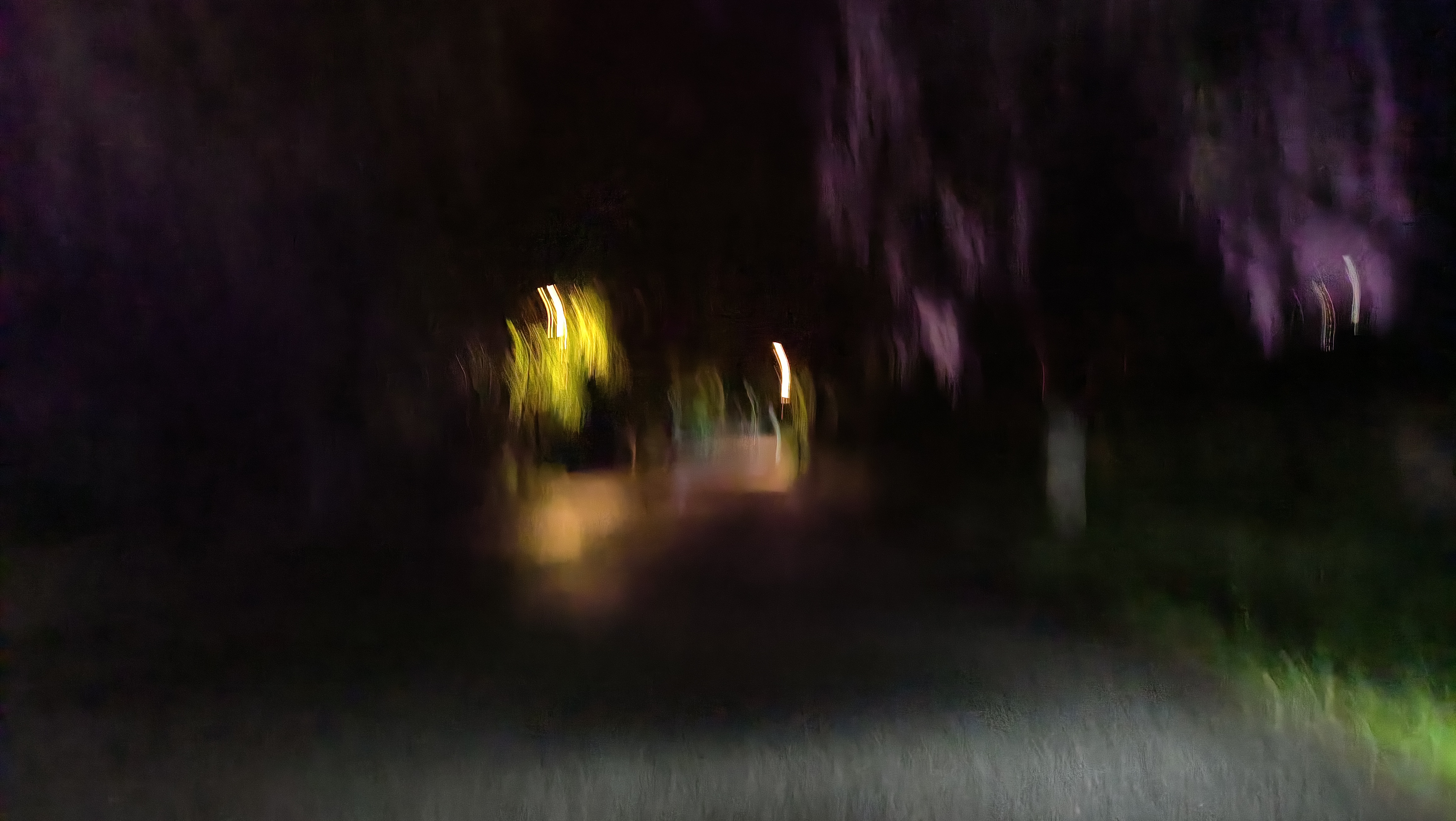 夜幕下的幽静小路