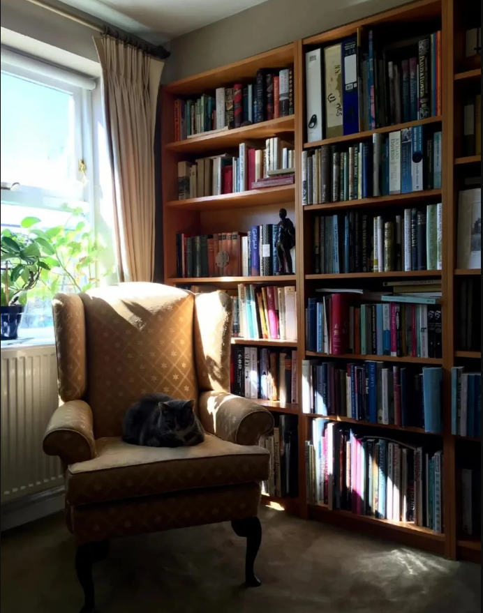 "第一美男"费翔近况曝出:曾迷倒亿万国人,63岁仍不婚不育