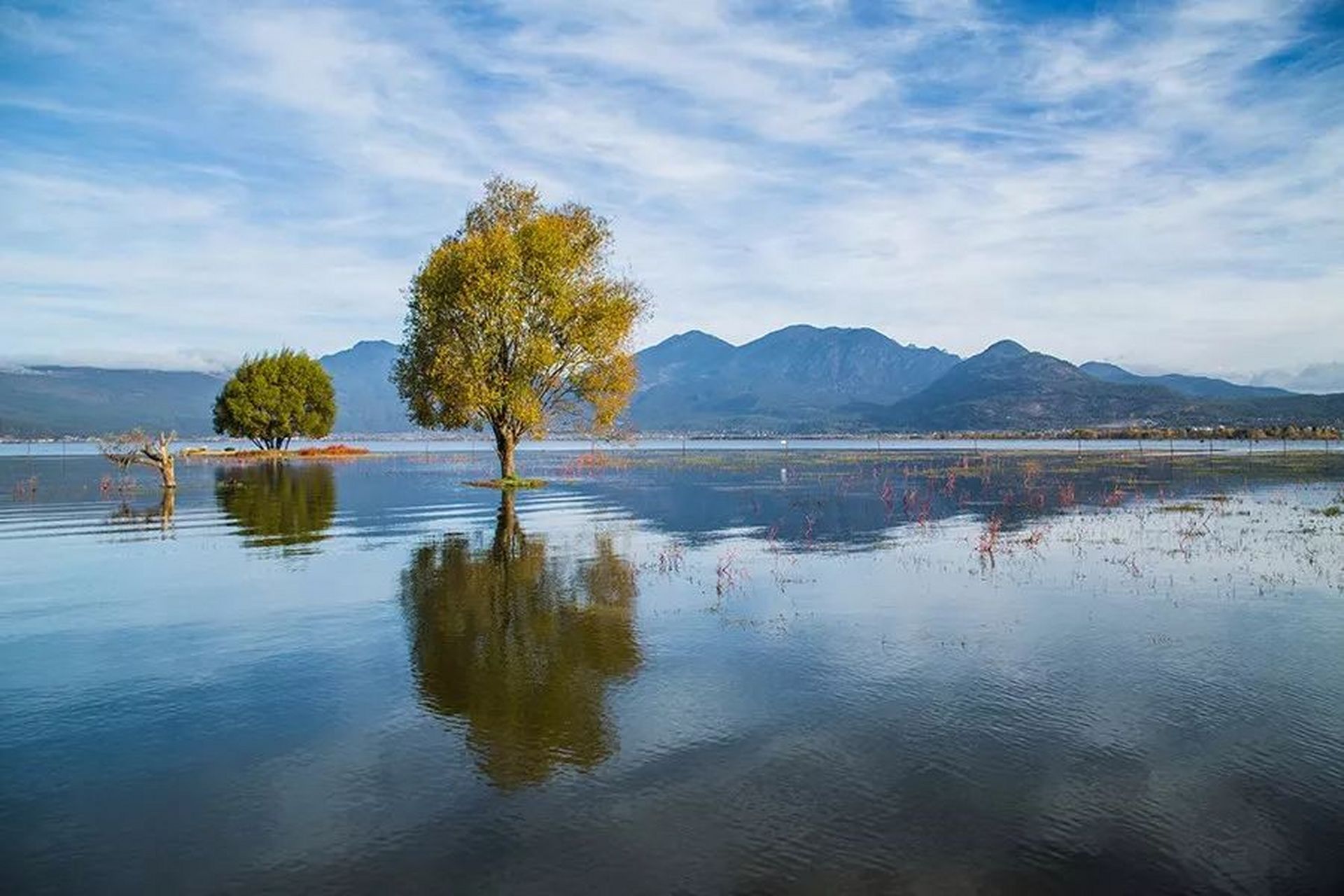 当你看透了一切,就能做到得不喜,失不忧,心平气和的去享受生活.