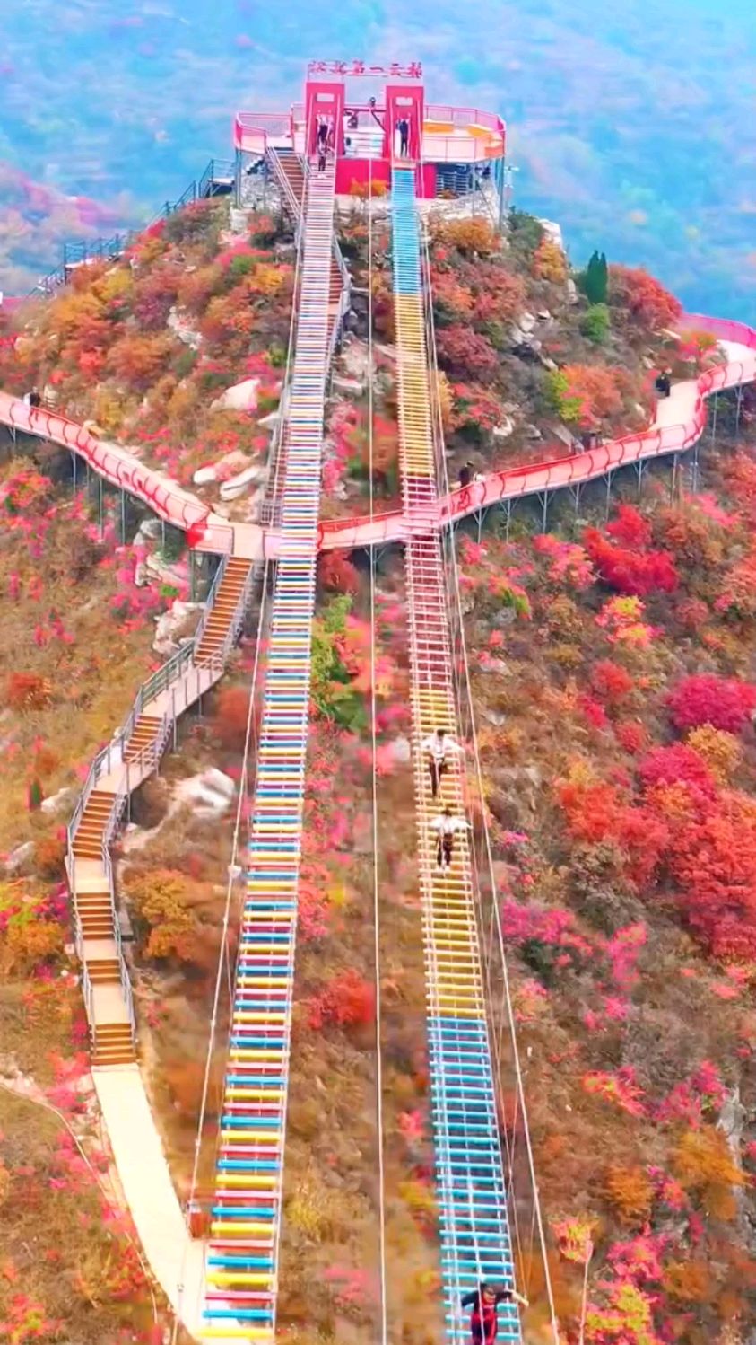 旅行推荐官山东文旅淄博红叶柿岩景区