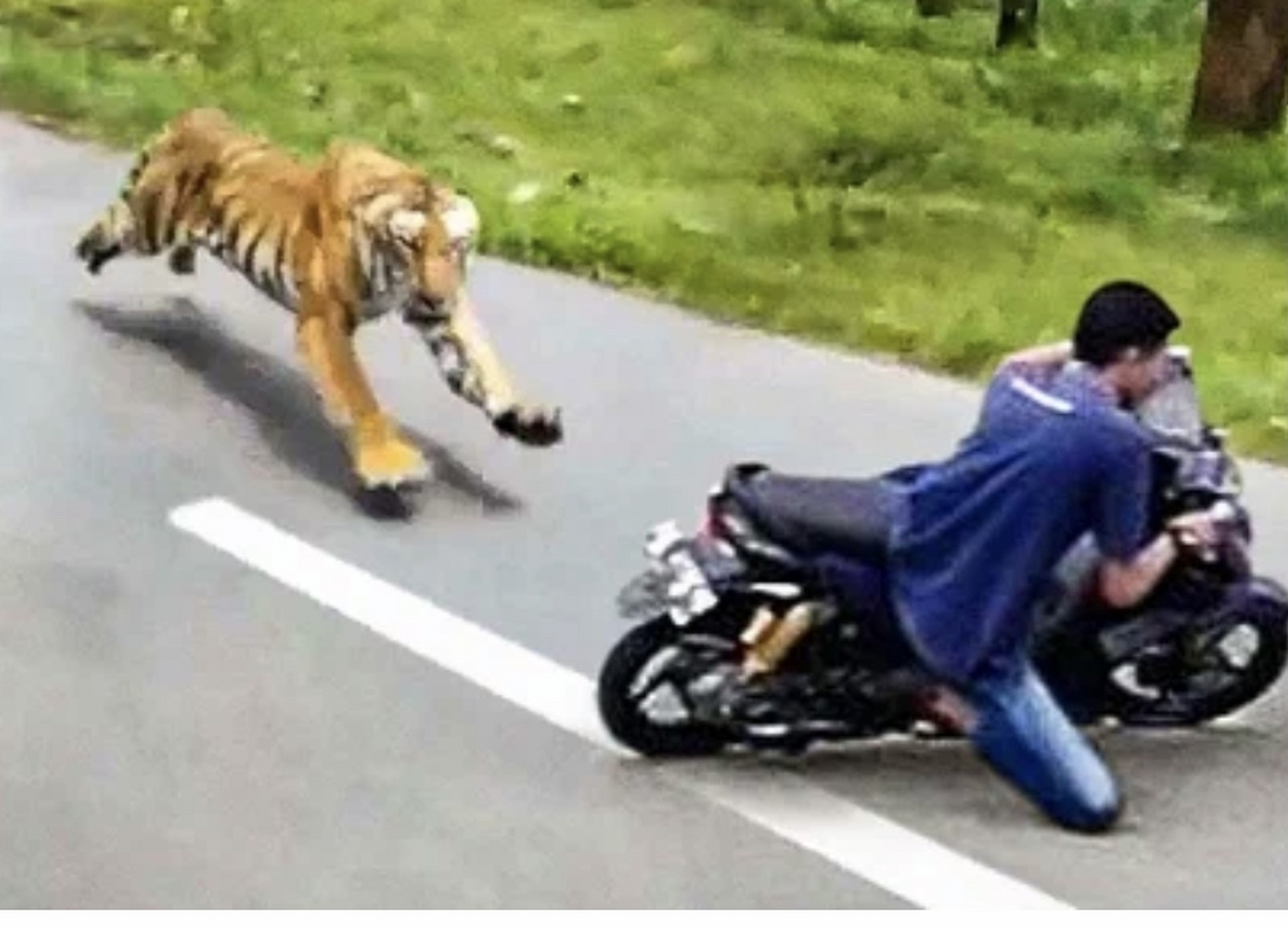 业余摩托车手在受到惊吓的时候极限压弯,没有任何失误堪比专业的赛车