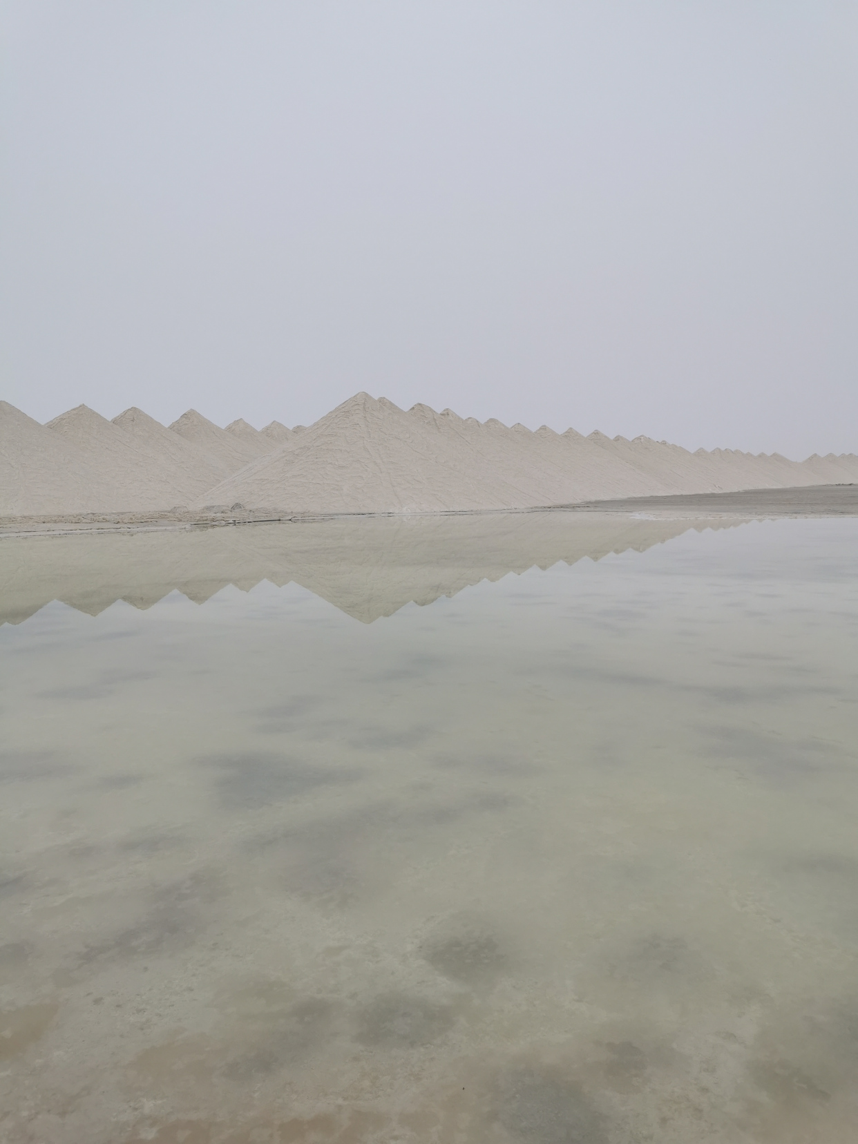 迪士农携手中盐新疆打造中国高端天然富硒食用盐