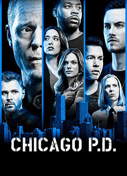 芝加哥警署第六季彩