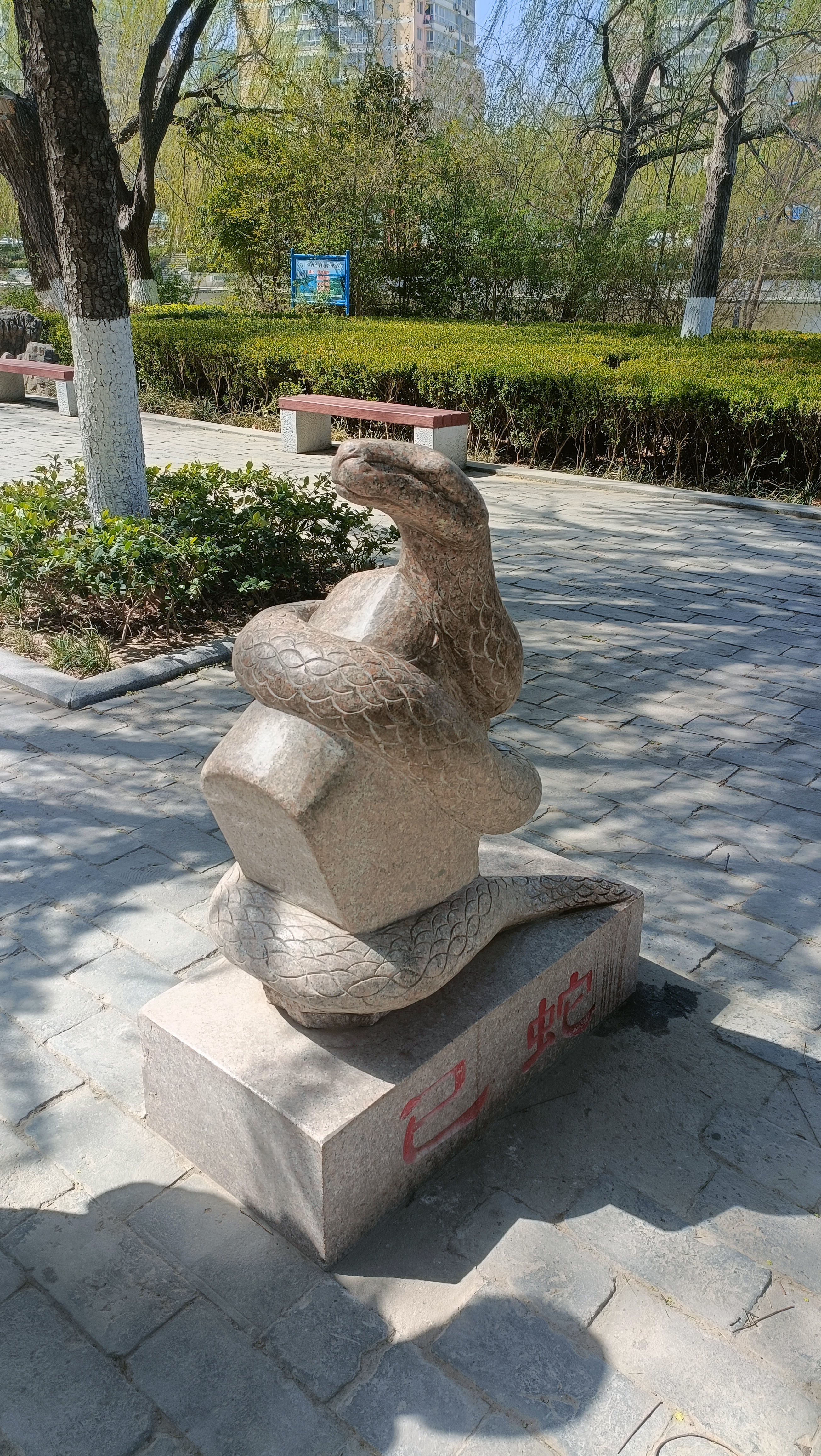 陽春三月,菏澤天香公園帶娃走一走,活到九十九.哈哈