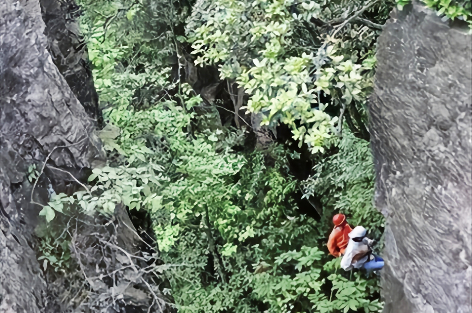 张家界神堂湾崖底怪声不断!2012年,科考队绳降650米寻找真相