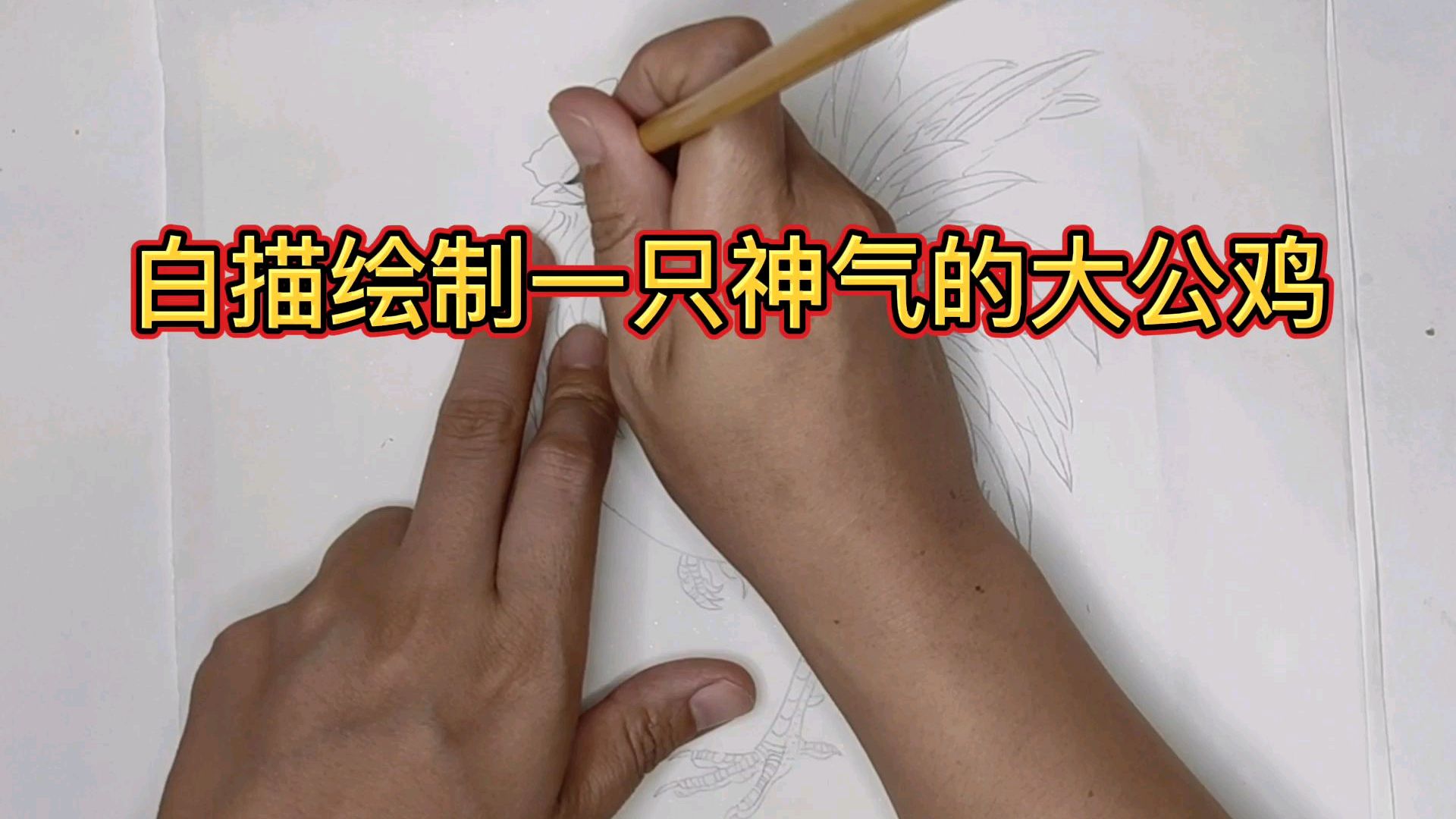 公鸡的白描技法讲解