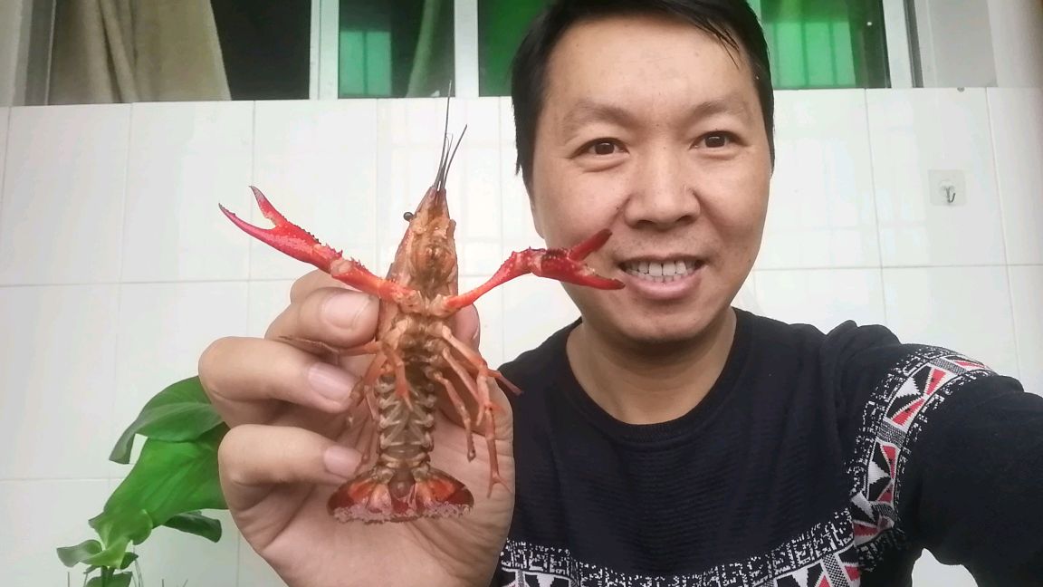 一只小龙虾在缺少食物的情况下,到底可以活多久