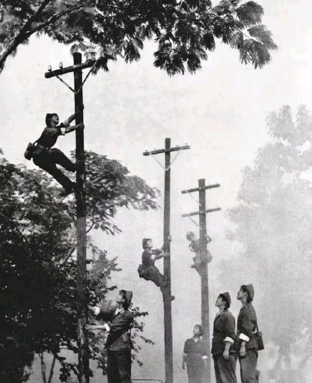 上世纪70年代的女通讯兵,人人都会徒手爬电线杆.