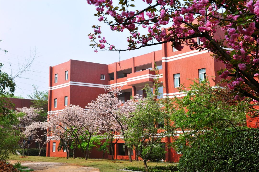 全国唯一的金陵高校——南京特殊教育师范学院