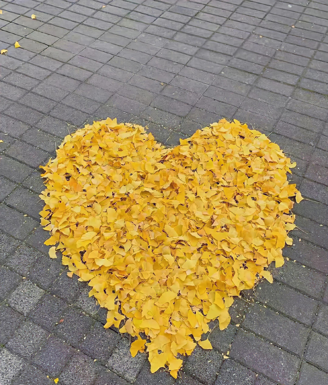 我想回去这些年的秋天 去陪那个一个人的自己.