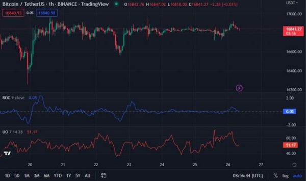 BTC 多头横行，价格上涨 0.13% 至 16,862.18 美元