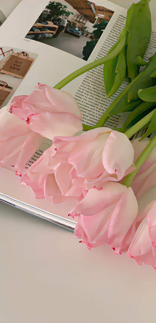 美美的粉色锁屏壁纸 通通换上! 676767