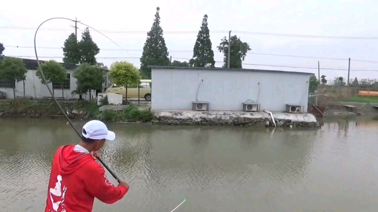 素材竿现场钓鱼测试,从调漂到中鱼,这大弯弓看着都爽!