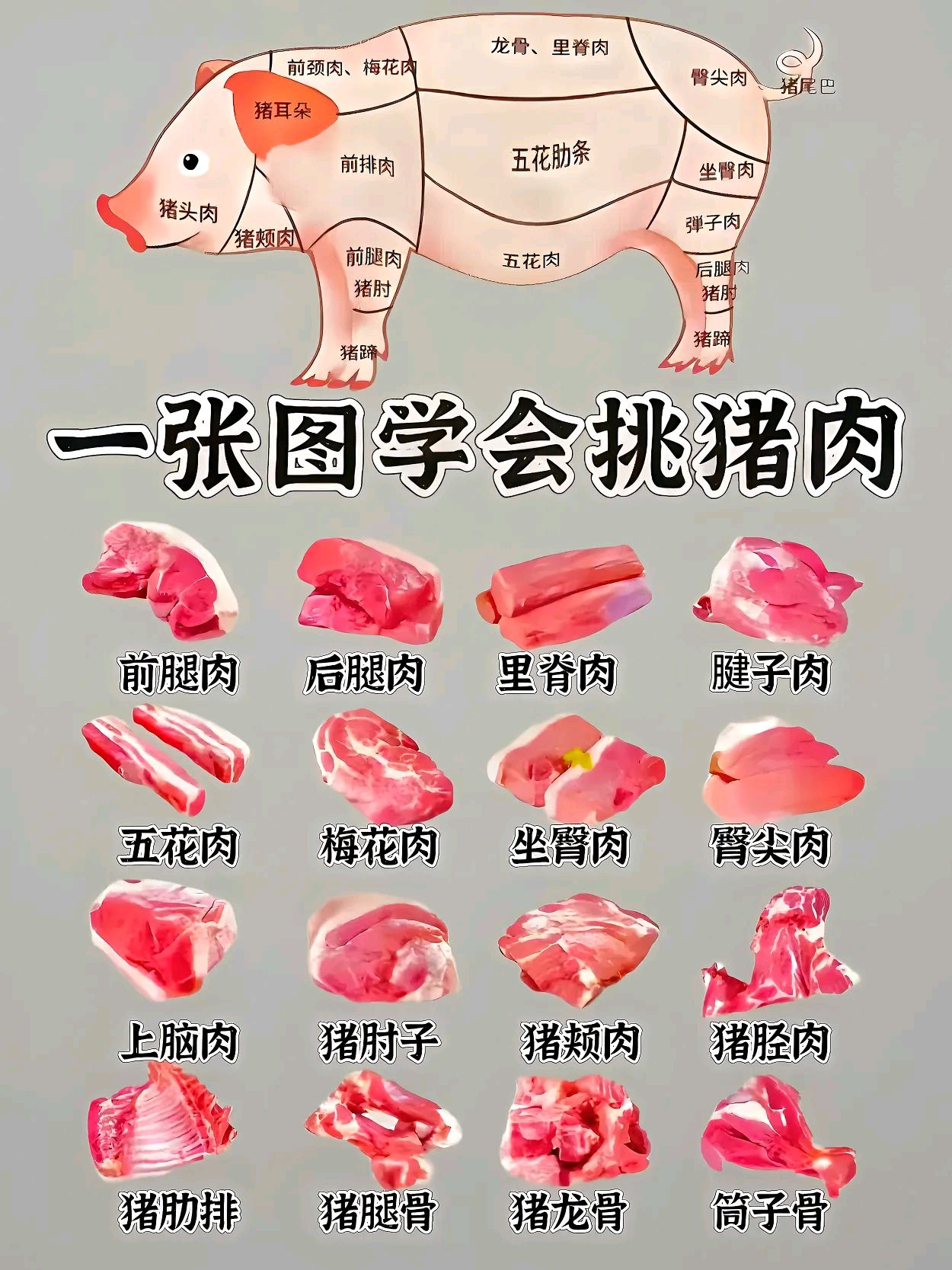 猪梅花肉是什么部位图片