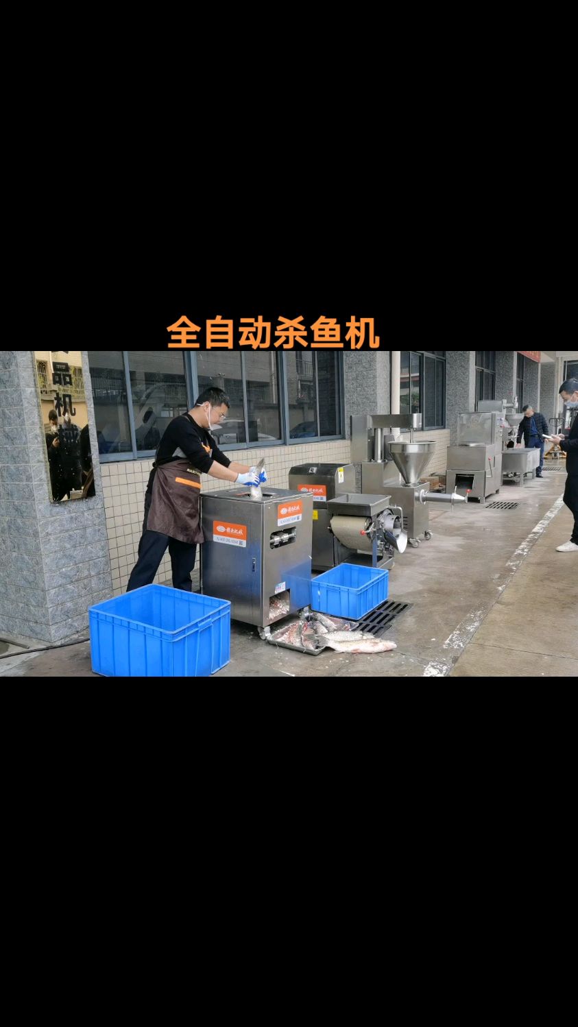 自动杀鱼去鱼鳞开肚机 商用杀鱼机-度小视