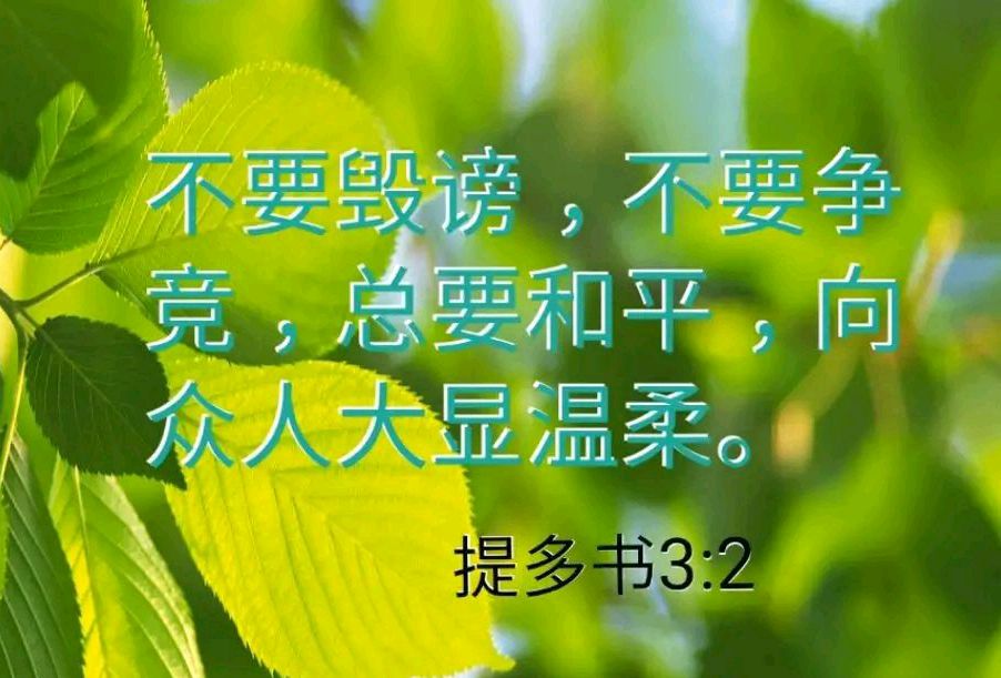 提多书第三章逐节解释