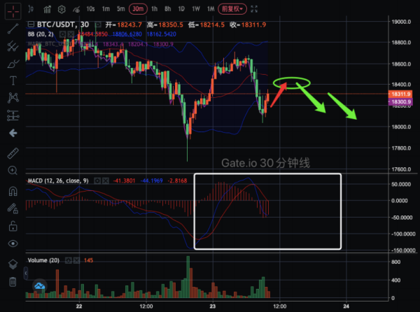 【合约日报】除了BTC，机构们对山寨币的布局也早有预谋