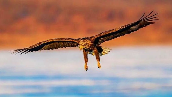 强者,都是勇者无畏的思维