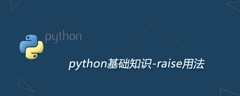 Python超详raise用法