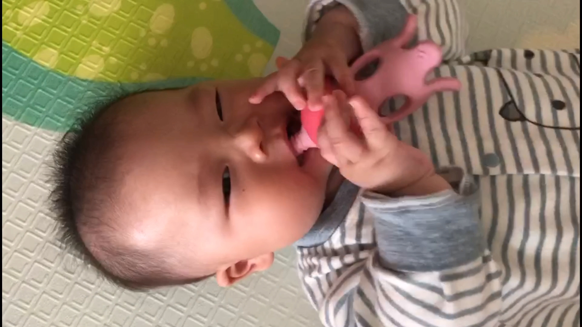 奶瓶吃几口就丢掉,没奶的章鱼头却吃的嘎嘣响,不吃奶瓶怎么破?