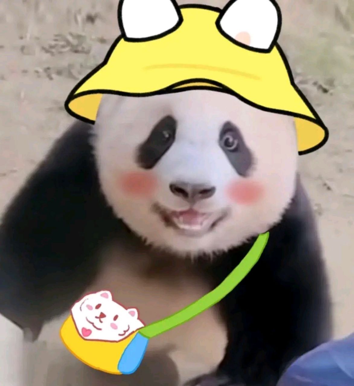 胖宝宝胖宝宝,真的太可爱了! 见到爷爷就笑的福宝,好开心的福宝啊!