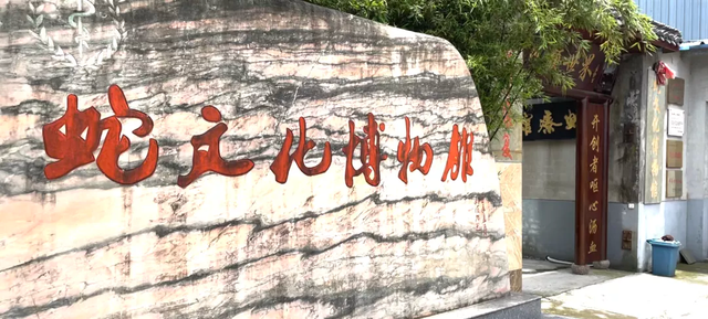 探秘"中国第一蛇村":村民"与蛇共舞"的背后,暗藏"致富经"