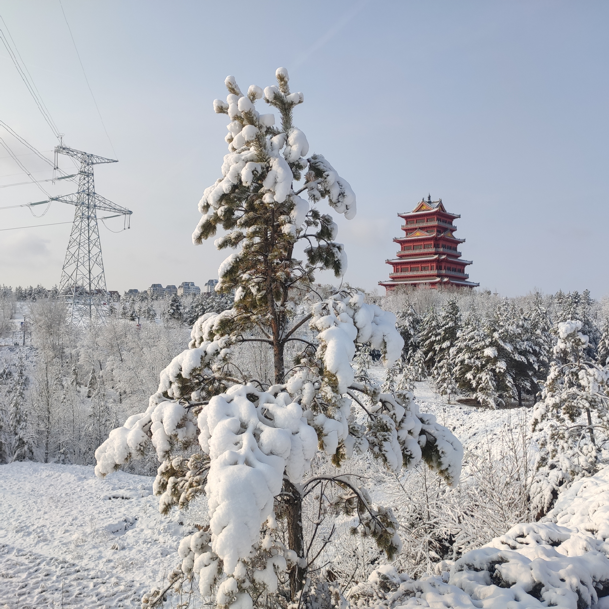 冬季来榆林看雪