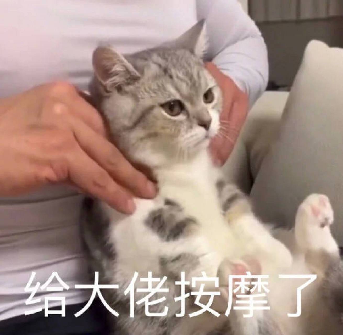 搞笑表情包2