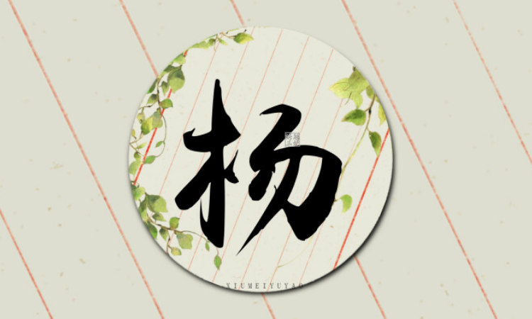 杨姓和什么姓有世仇