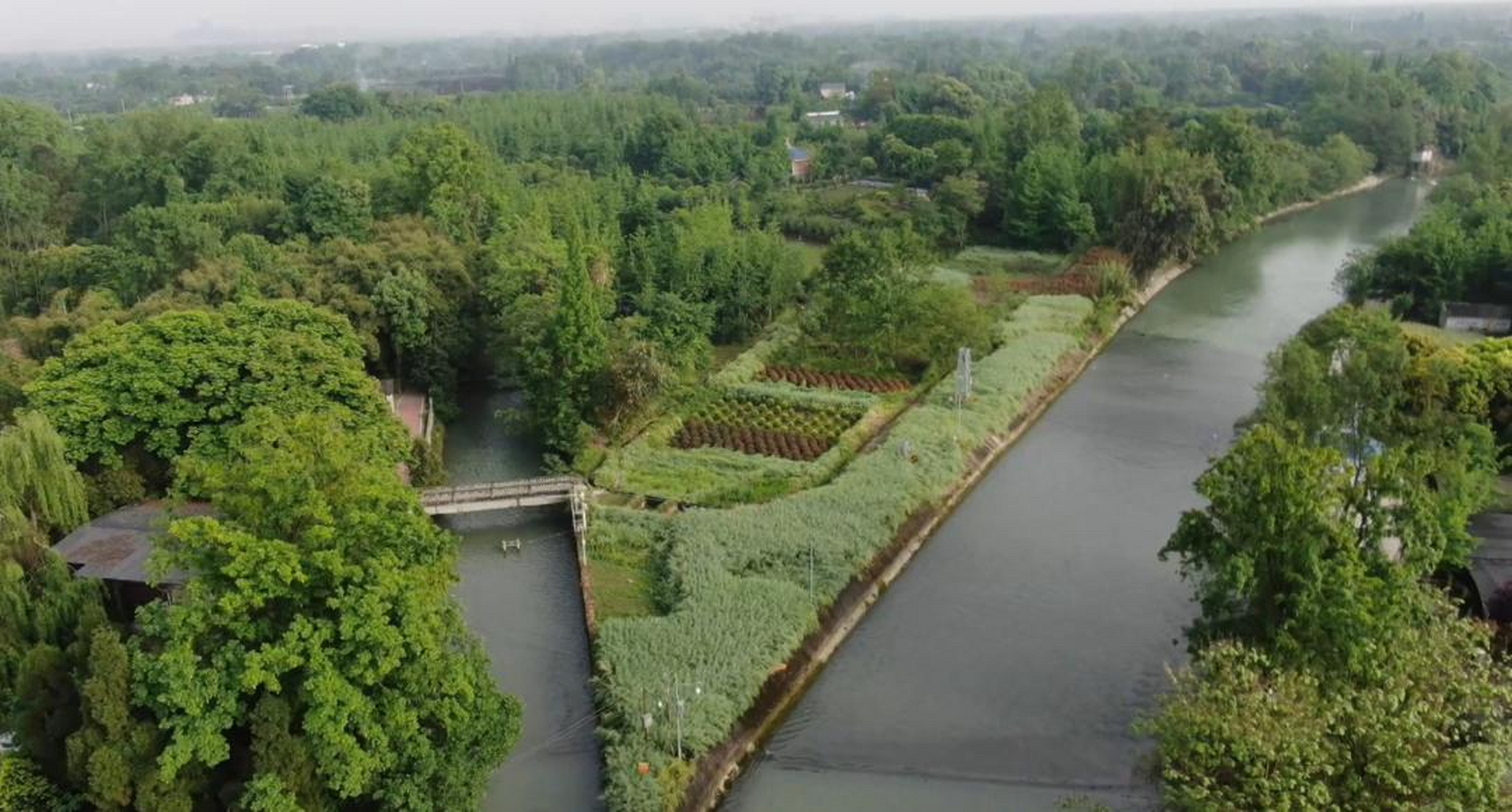 在成都郫都区,有一个美丽的公园,它就是被誉为"城市绿肺"的清水河公园