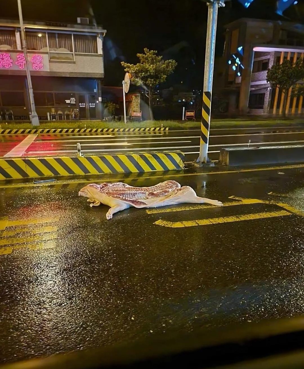 晚上下班回家路上看到的,我该怎么办?